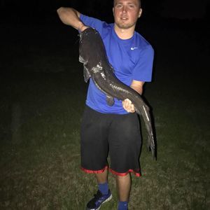 Meet your Posher, Kyler